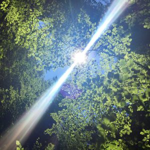 Licht Hypnotherapie