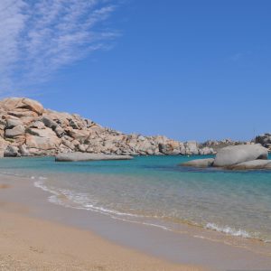 sylviacopol0-beach-695056